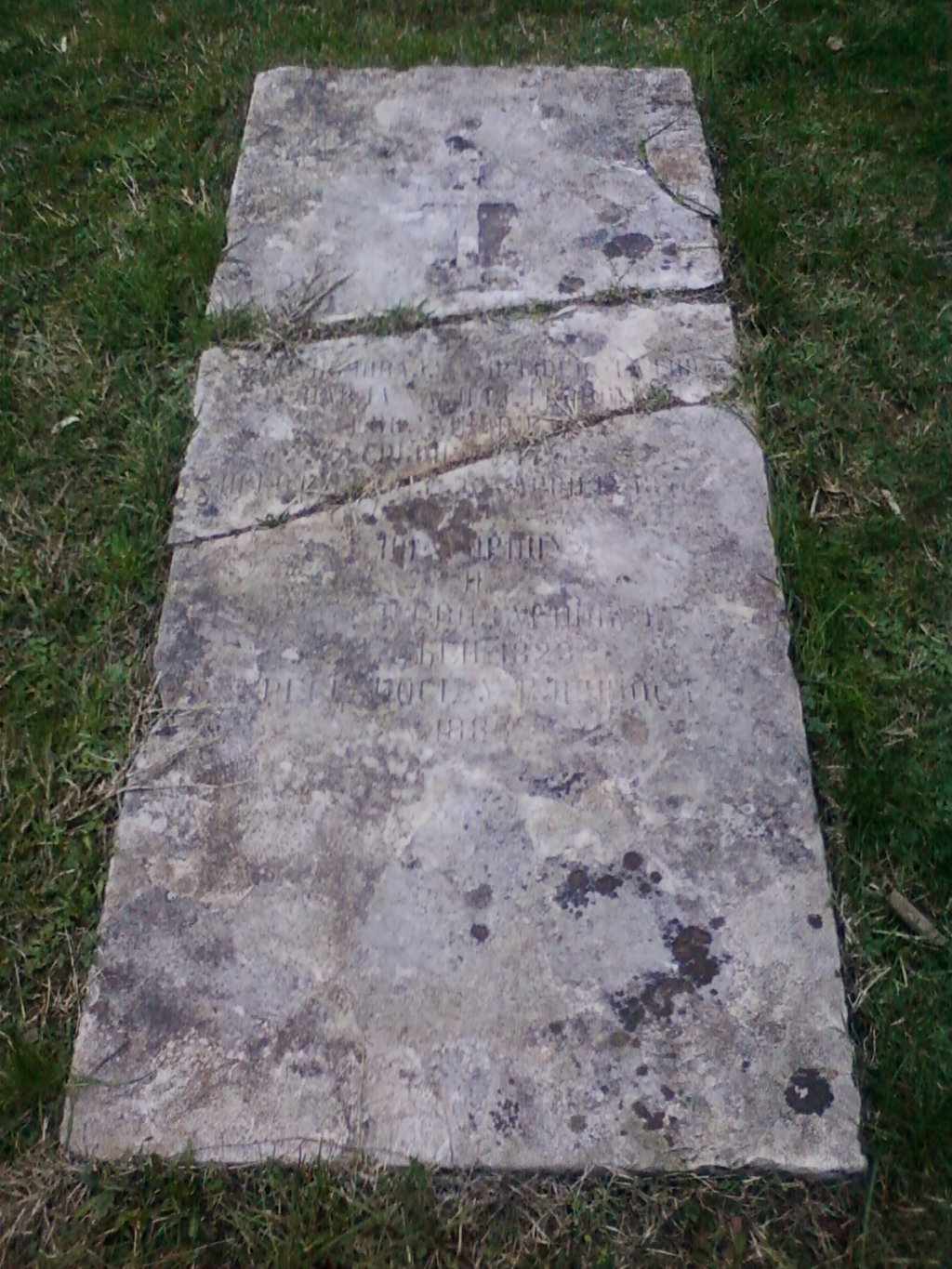 Please update viewer